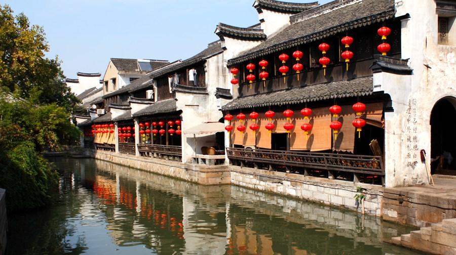 寻找火鸡